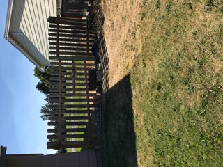 Fence Rebuild