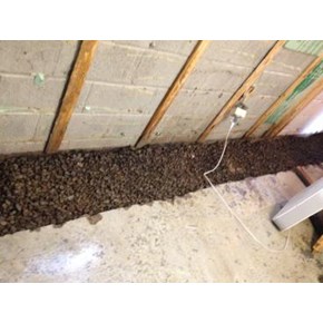 Basement Drainage System Installation in Dallas