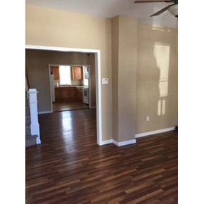 Interior House Painting in Plains