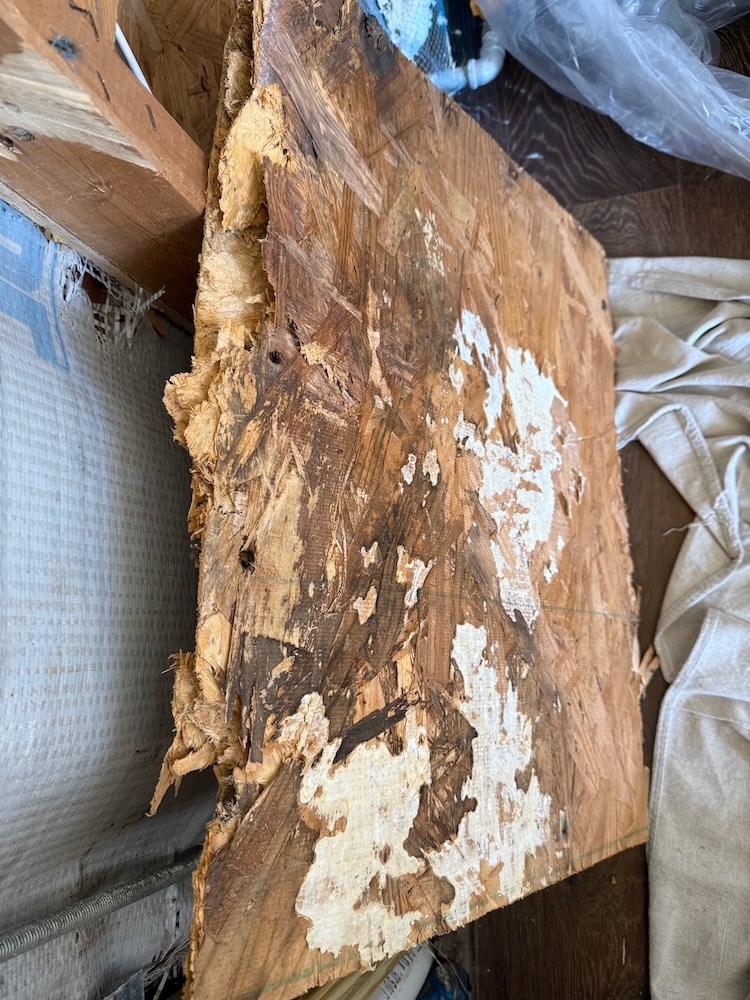 wood rot repair services niceville florida