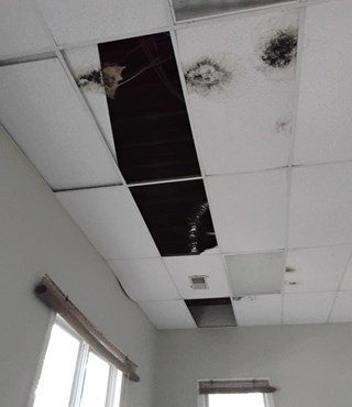 Ceiling Tile Replacement Before