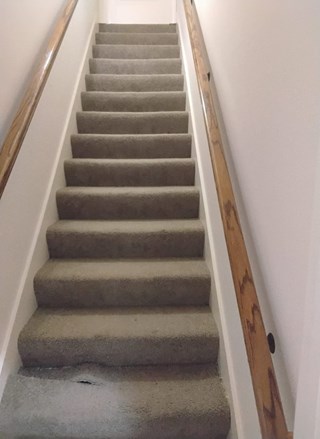 Stair Treads Replaced & Painted Before
