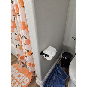 Ace Handyman Services Toilet Paper Mount in Tempe