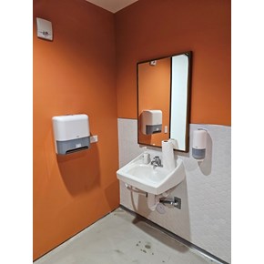 Ace Handyman Services Bathroom Fixture Installation in Tempe