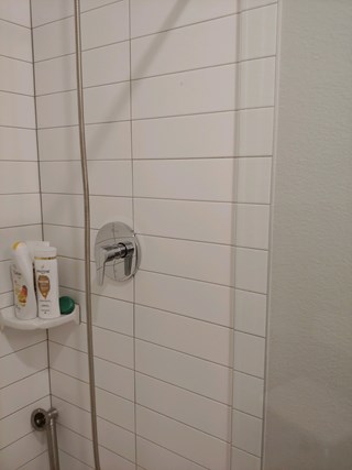 Shower head and hand rail installed Ace Handyman Services West Glendale Before