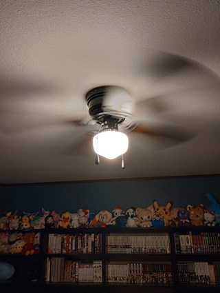 New Ceiling Fan