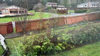 Sections of fence leaning after a storm in Humboldt County California There is a broken gate and bushes in front of the fence.