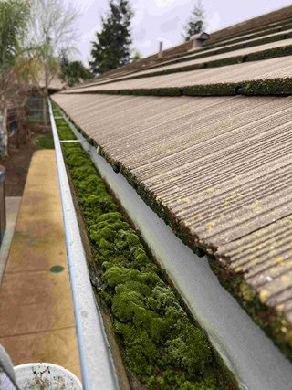 gutter before gutter cleaning guttercleaning moss weeds sediment