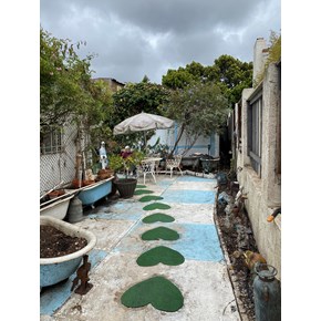 Cleaned up backyard