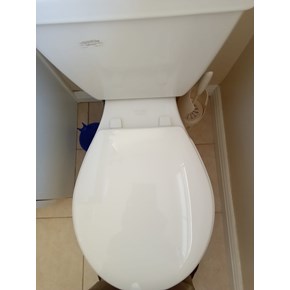 Toilet seat replacement