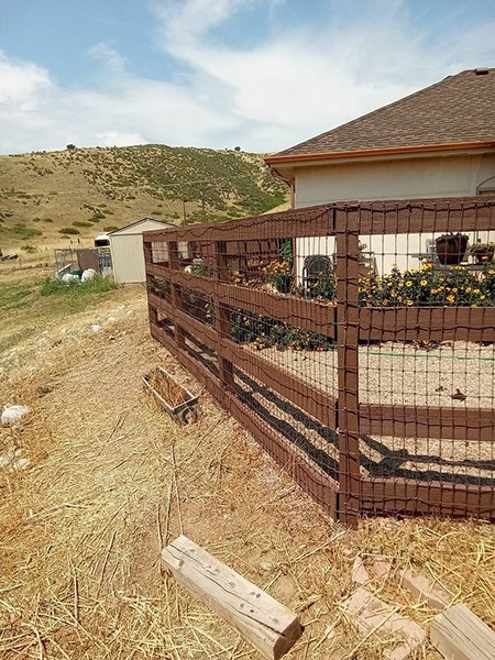 Local Fence Repair Fort Collins, CO Local Fence Repair Fort Collins, CO