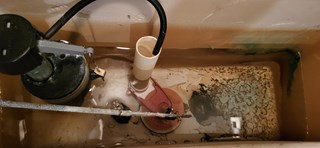 Tile repair