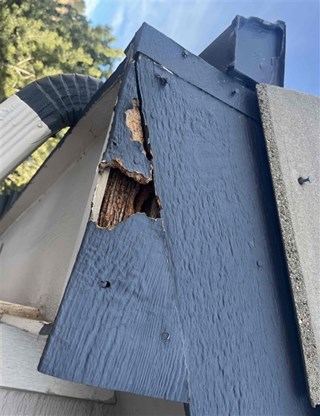 Fascia Repair - Littleton CO Before