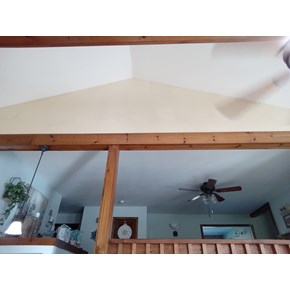 Ace Handyman Services Painting Projects