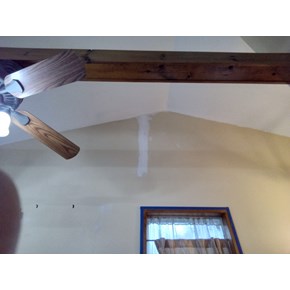 Ace Handyman Services Painting Projects