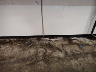 Ace Handyman Services Mold Removal in Danielson