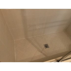 Ace Handyman Services Project in Orlando, FL