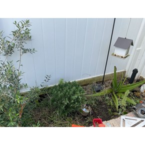 Ace Handyman Services Project in Orlando, FL