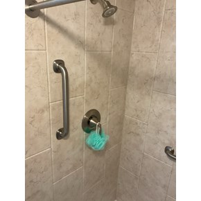 Ace Handyman Services Project in Orlando, FL