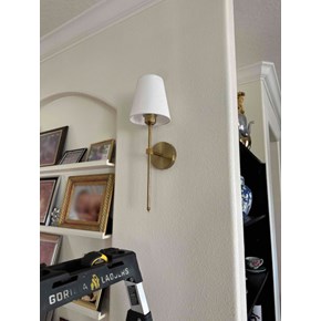 Ace Handyman Services Project in Orlando, FL