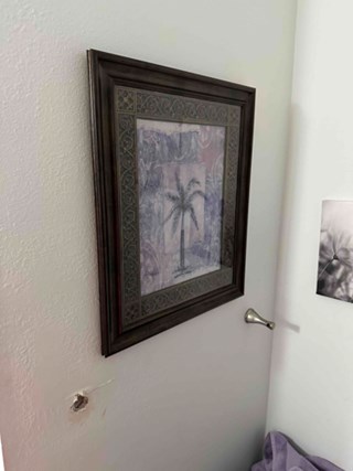 Picture Hanging Orlando, FL Before