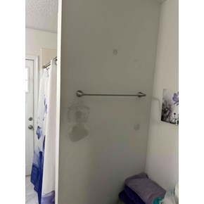 Ace Handyman Services Project in Orlando, FL