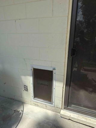 Dog Door Installation Avalon Park, FL Before 