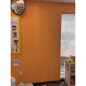 Ace Handyman Services Project in Orlando, FL