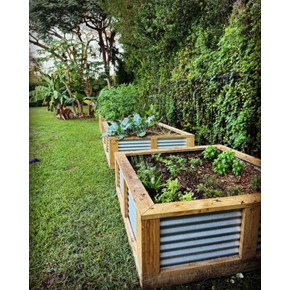 Outodoor Garden