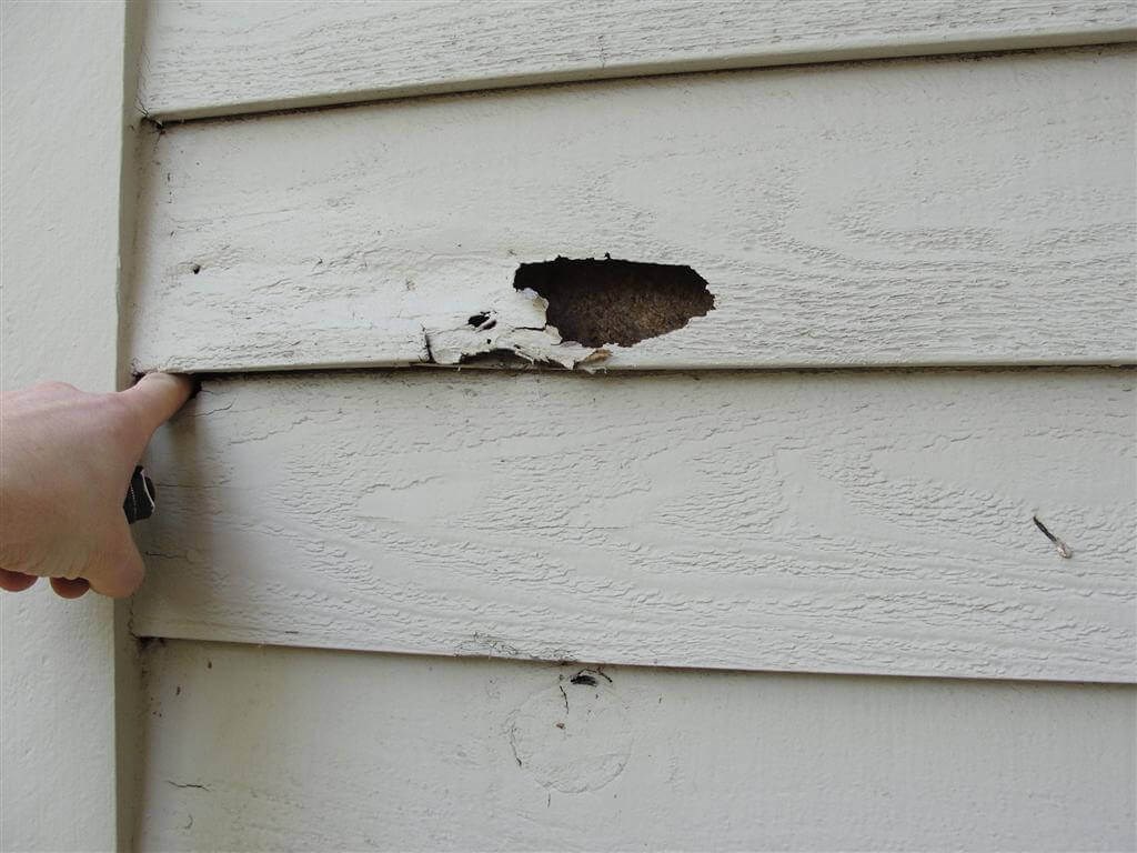 wood rot handyman services Tyndall, FL