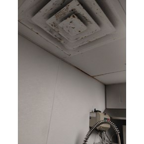 Ace Handyman Services before picture kitchen ceiling tiles replacement Project in Port St. Lucie, FL