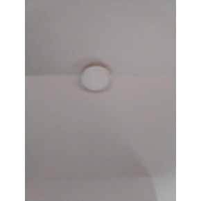 Ace Handyman Services electric box mold control Project in Port St. Lucie, FL