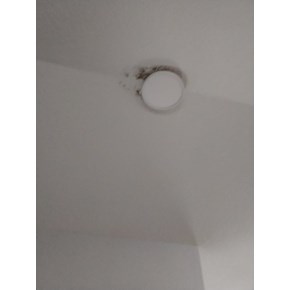 Ace Handyman Services electric box mold control Project in Port St. Lucie, FL