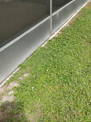 Ace Handyman Services kick plate after in Port St. Lucie, FL
