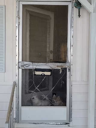 Ace Handyman Services screen door repair project in Port St. Lucie, FL