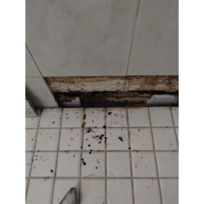 Ace Handyman Services bathroom shower tile repair and re-grouting Project in Port St. Lucie, FL