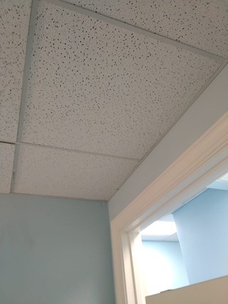 Ace Handyman Services ceiling tile replacement after photo in Port St. Lucie, FL