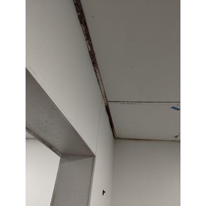 Ace Handyman Services before picture kitchen ceiling tiles replacement Project in Port St. Lucie, FL