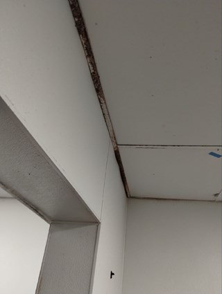 Ace Handyman Services ceiling tiles replacement project in Port St. Lucie, FL