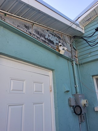 Exterior vinyl siding repair before