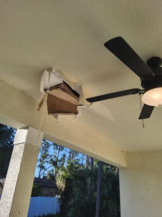 Ceiling Repair Needed