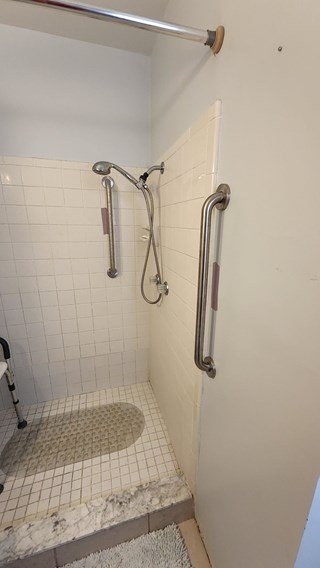 Shower with grab bar install
