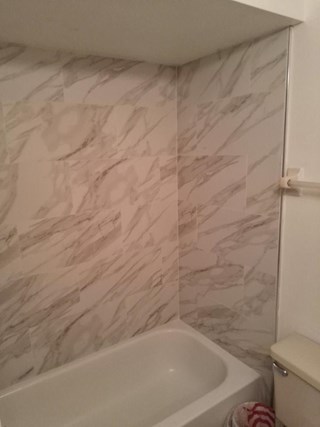 Bath Remodel in Tampa, FL