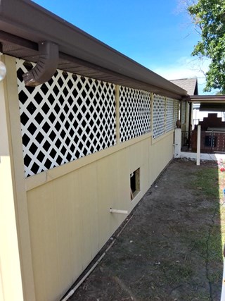 Shed Repair and Refinish in Tampa, FL