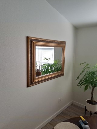 Mirror Installation in Tampa, FL