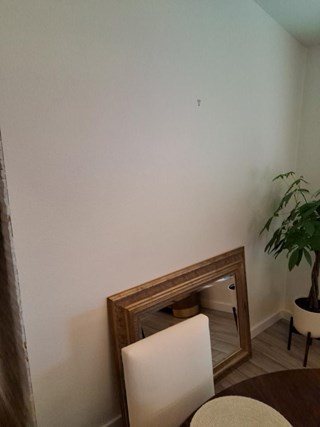 Mirror Installation in Tampa, FL