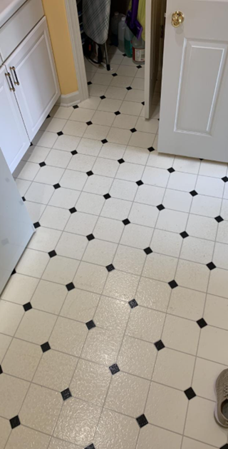 Flooring Before