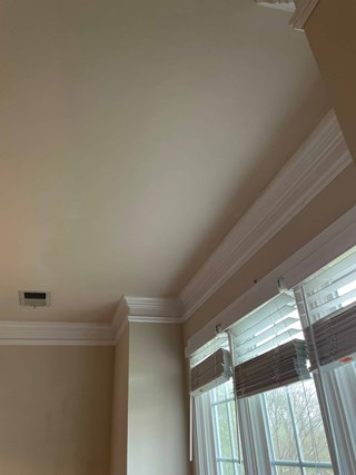 Ceiling Repair in Athens, GA