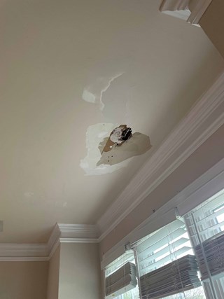 Ceiling Repair in Athens, GA