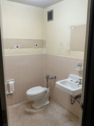 Bathroom Refresh Before